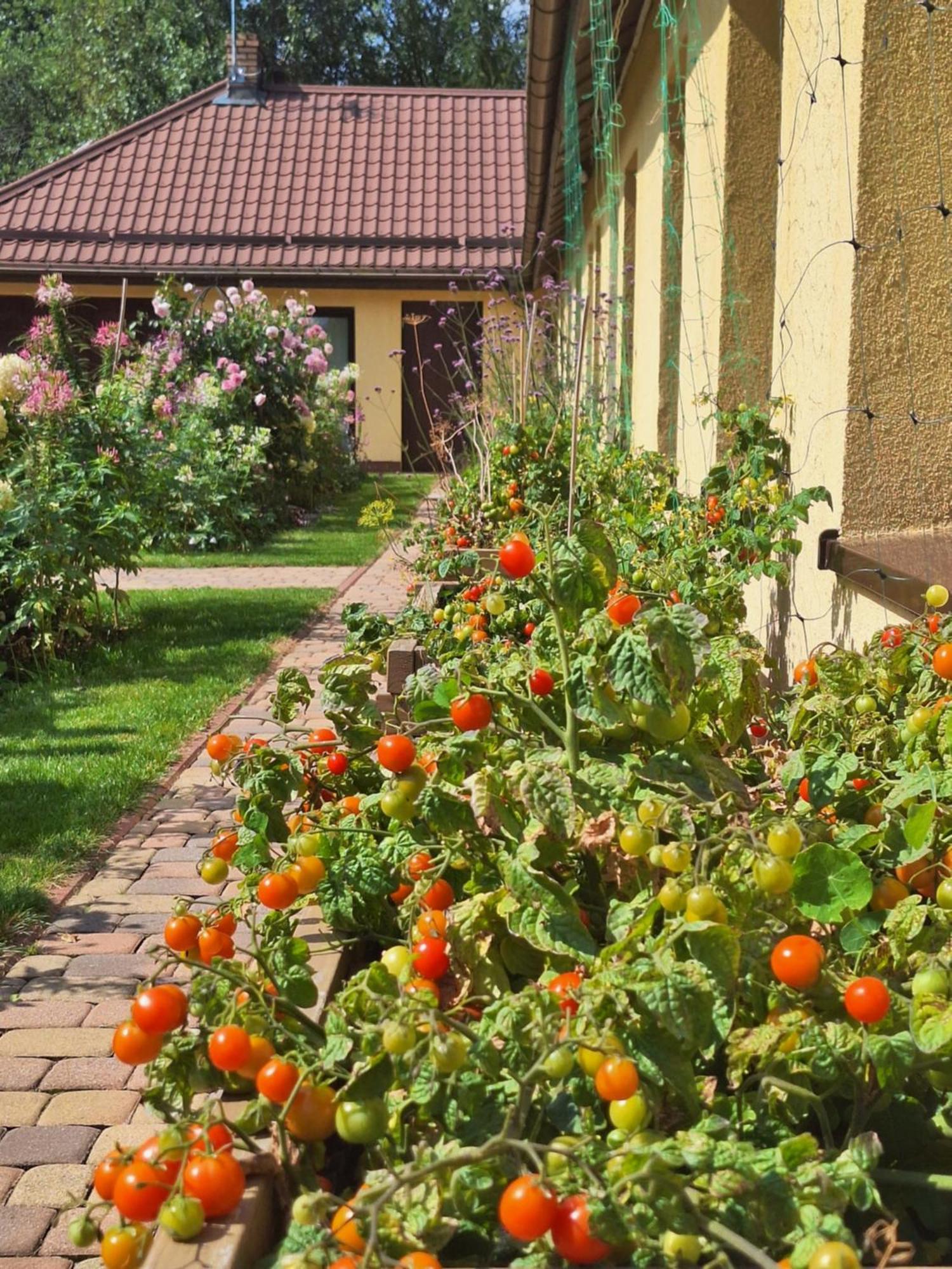 Zielono Mi - Dom Goscinny W Lapalicach Lapalice Exterior foto